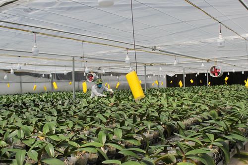 Cần có chiến lược phát triển khoa học công nghệ, công nghệ sinh học bền vững