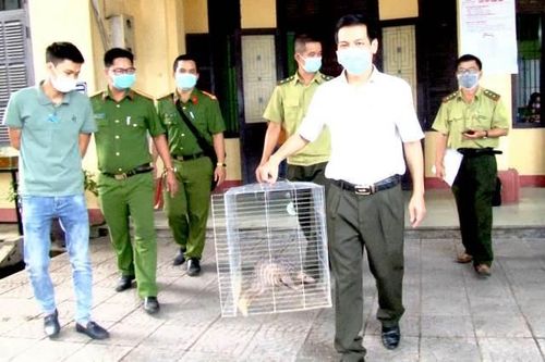 Bạn đọc Bạn đọc Động vật hoang dã vẫn 'đi lạc' vào quán