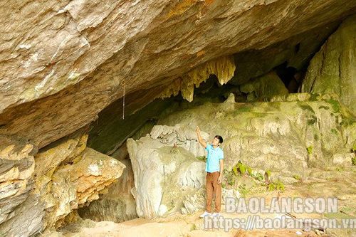 Hang Dơi – Di chỉ khảo cổ tiêu biểu của nền văn hóa Bắc SơnTin khácPhấn đấu bệnh viện luôn là 'vùng xanh' trong phòng chống dịchThông báo nội dung kỳ họp thứ sáu (kỳ họp chuyên đề) HĐND tỉnh khóa XVII, nhiệm kỳ 2021- 2026