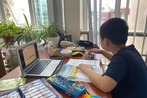 Con học lớp 1 trực tuyến: Phụ huynh hoang mang, mệt mỏi