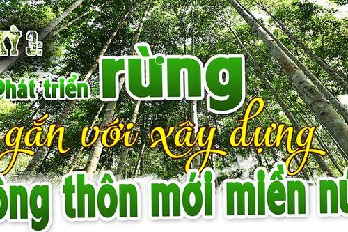 Bài 3: Phát triển rừng gắn với xây dựng nông thôn mới miền núiLắng nghe từ độc giảBài 4: Dựa vào rừng để phát triển du lịch sinh thái Bài 2: Liên kết hình thành cứ điểm ngành gỗBài 1: Sáng tạo để bảo vệ và làm giàu từ rừngTuyên Quang phát triển lâm nghiệp