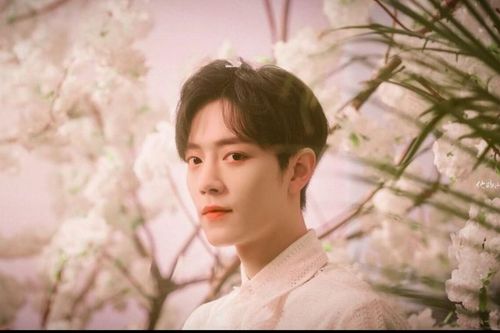 Lễ hội âm nhạc Tencent: Tiêu Chiến, TFBOYS, Thái Từ Khôn, Lay đều có mặt?