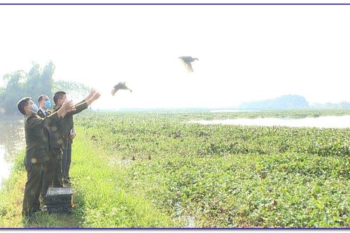 Bắt giữ đối tượng vận chuyển động vật hoang dã trái phép