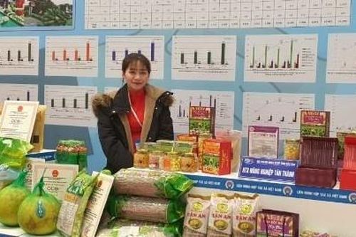 Hợp tác xã: Minh bạch hóa quy trình sản xuất để tăng giá trị nông sản