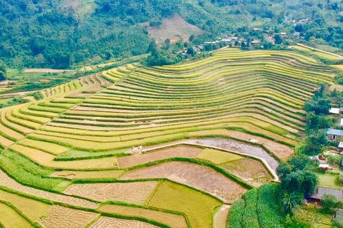 Phja Mạ - Điểm hấp dẫn du khách khám phá thiên nhiên