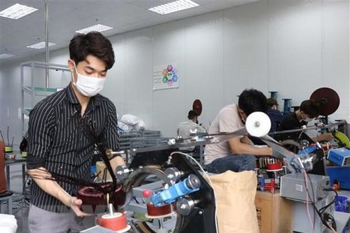 Tháng 11: Số doanh nghiệp quay trở lại hoạt động tăng 15,2%