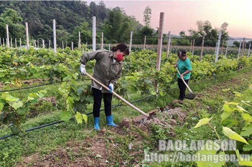 Khởi nghiệp từ sản xuất nông nghiệp công nghệ cao kết hợp với du lịch trải nghiệm: Hướng đi mới trong phát triển kinh tếTin khácPhấn đấu bệnh viện luôn là 'vùng xanh' trong phòng chống dịchThông báo nội dung kỳ họp thứ sáu (kỳ họp chuyên đề) HĐND tỉnh khó