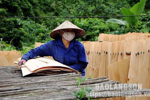 Đình Lập: Phát triển các cơ sở kinh doanh chế biến lâm sảnTin khácPhấn đấu bệnh viện luôn là 'vùng xanh' trong phòng chống dịchThông báo nội dung kỳ họp thứ sáu (kỳ họp chuyên đề) HĐND tỉnh khóa XVII, nhiệm kỳ 2021- 2026