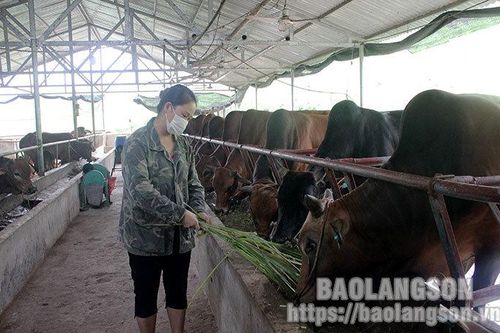 Thực hiện tiêu chí 13 ở Bắc Sơn: Đi vào thực chấtTin khácPhấn đấu bệnh viện luôn là 'vùng xanh' trong phòng chống dịchThông báo nội dung kỳ họp thứ sáu (kỳ họp chuyên đề) HĐND tỉnh khóa XVII, nhiệm kỳ 2021- 2026
