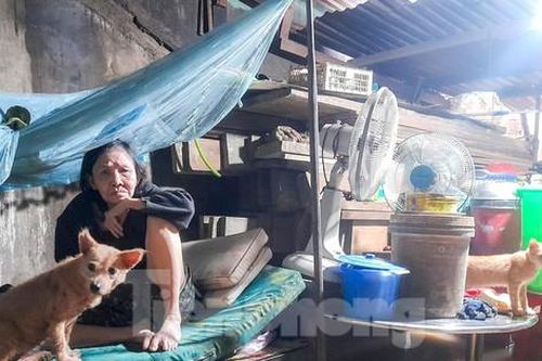 Mưa như trút, hàng ngàn nhà dân Bình Định ngập trong nước lũ, một người tử vong