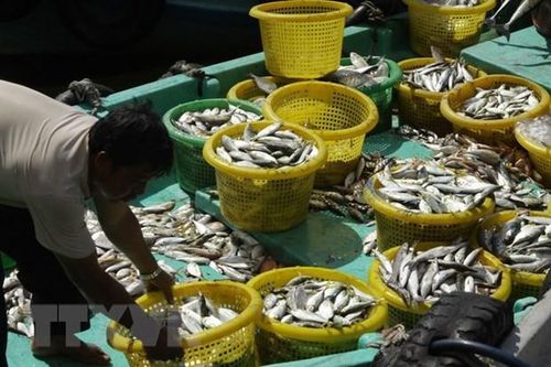 Phát triển bền vững ngành nuôi trồng thủy sản ở khu vực châu Á