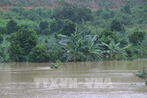 Đắk Lắk sẵn sàng di dời hơn 600 hộ dân khỏi vùng lòng hồ Krông Pách Thượng