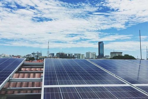 Kinh tế Nông nghiệp - Nông thôn Đổi mới tư duy, xây dựng hệ thống lương thực thực phẩm xanh