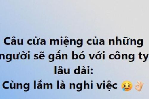 Bài học vỡ lòng cho 'chiếu mới' công sở: Đồng nghiệp đòi nghỉ thường gắn bó với công ty