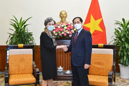 Bộ trưởng Ngoại giao Bùi Thanh Sơn tiếp Đại sứ Mexico Sarah Valdez Bolano chào từ biệt