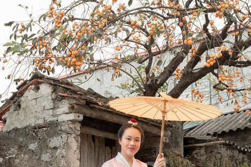 Giới trẻ check-in bên cây hồng gần 200 tuổi ở Ninh Bình đẹp mê mẩn ngỡ như xứ Hàn