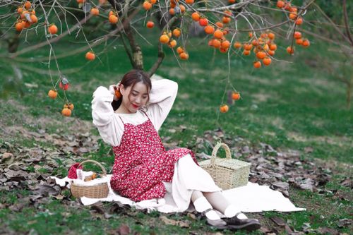 Khung cảnh vườn hồng chín mọng tuyệt đẹp giữa núi rừng Mộc Châu