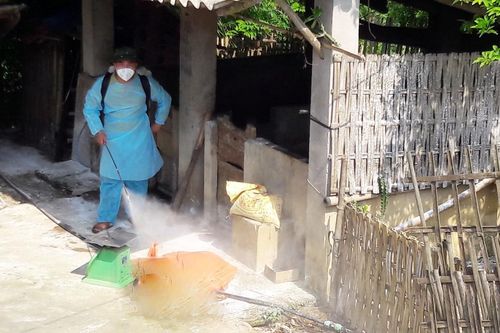 Triển khai các giải pháp phòng, chống bệnh dịch tả lợn châu Phi trên địa bàn tỉnh