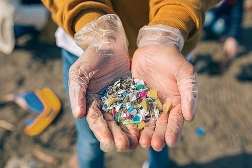 Hạt vi nhựa có thể thay đổi phản ứng hệ miễn dịch, gây phù nề?
