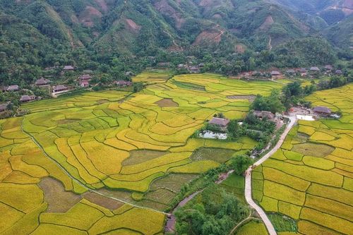 Độc đáo ngôi nhà sàn truyền thống ở Nghĩa Đô