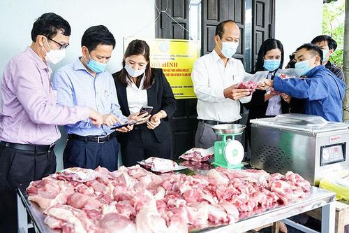 Mô hình nuôi lợn an toàn sinh học theo hướng hữu cơ có nhiều triển vọng