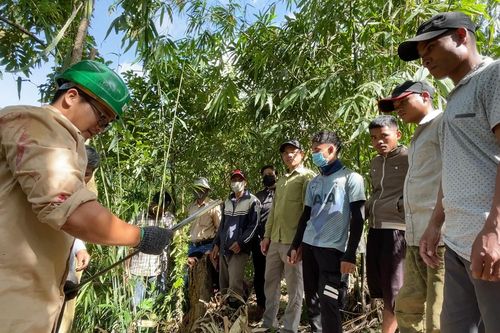 Tham vấn xây dựng năng lực quản lý rừng bền vững và chứng chỉ rừng