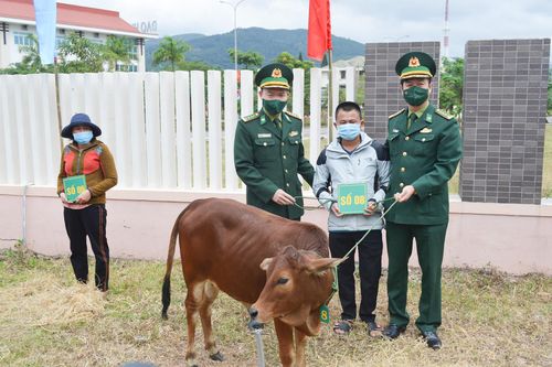 Trao học bổng, bò giống cho học sinh nghèo và các gia đình khó khăn hai bên biên giới Việt - Lào