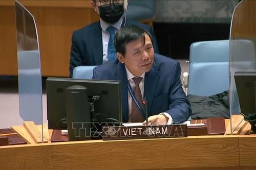 Thúc đẩy điều tra truy cứu tội ác của Da'esh/ISIL tại Iraq