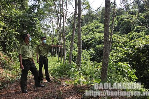 Tràng Định: Chủ động ngăn chặn vi phạm quy định trong lĩnh vực lâm nghiệpTin khácChung tay phòng chống HIV/AIDS trong bối cảnh dịch COVID-19THÔNG BÁO NỘI DUNG, CHƯƠNG TRÌNH KỲ HỌP THỨ BẢY (KỲ HỌP THƯỜNG LỆ CUỐI NĂM 2021) HĐND TỈNH KHÓA XVII NHIỆM KỲ 2021 