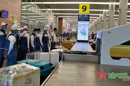 Đề nghị dừng tất cả các chuyến bay và cấm hành khách từ 10 quốc gia châu Phi