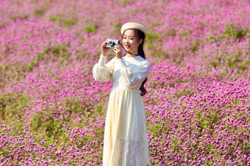 Thảo nguyên hoa bách nhật tím mộng mơ như trời Âu 'đốn tim' giới trẻ Hà thành
