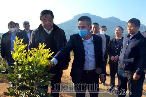 Điện Biên cần quan tâm việc tiếp cận và phát triển nông nghiệp theo mô hình liên kết đa ngành