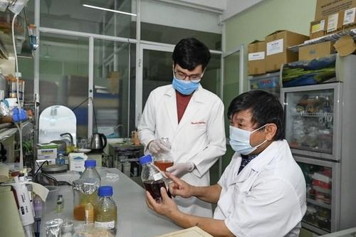 Vận dụng tối đa quy định để cấp phép lưu hành thuốc điều trị COVID-19