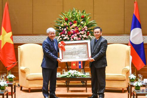 Vun đắp mối quan hệ hữu nghị vĩ đại, tình đoàn kết đặc biệt Việt Nam - Lào