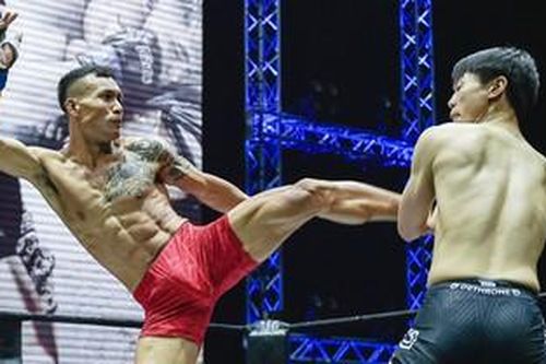Giải MMA đầu tiên tại Việt Nam chuẩn bị khởi tranh