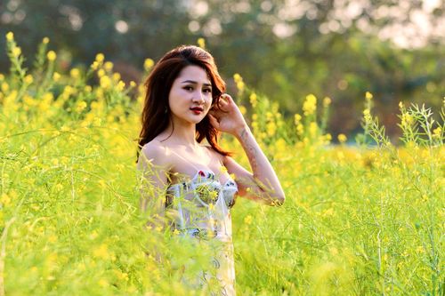Vườn hoa cải 'thảm vàng' một góc trời Hà Nội