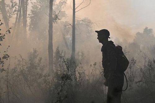 Năm 2021, phát thải carbon từ các vụ cháy rừng chạm mốc cao kỷ lục