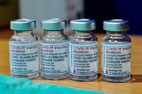 Đa số người viêm cơ tim sau khi tiêm vaccine đều phục hồi nhanh chóng