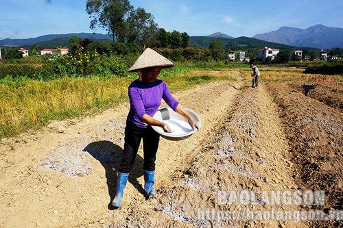 Sản xuất khoai tây vụ đông tại Lộc Bình: Đảm bảo về giống, sẵn sàng đầu raTin khácChung tay phòng chống HIV/AIDS trong bối cảnh dịch COVID-19THÔNG BÁO NỘI DUNG, CHƯƠNG TRÌNH KỲ HỌP THỨ BẢY (KỲ HỌP THƯỜNG LỆ CUỐI NĂM 2021) HĐND TỈNH KHÓA XVII NHIỆM KỲ 2021