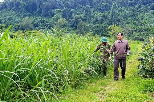 Cán bộ hội nông dân trẻ 'nói được, làm được'