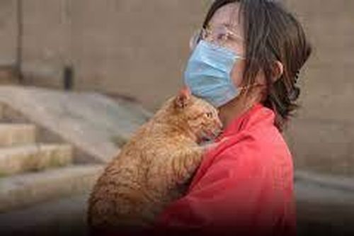 Nhiều người trẻ Trung Quốc coi thú cưng như con