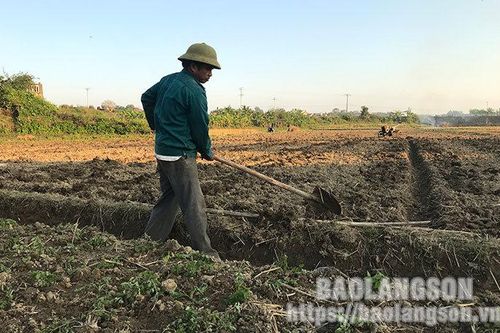 Tràng Định: Tập trung nâng cao năng suất, chất lượng thạch đenTin khácChung tay phòng chống HIV/AIDS trong bối cảnh dịch COVID-19THÔNG BÁO NỘI DUNG, CHƯƠNG TRÌNH KỲ HỌP THỨ BẢY (KỲ HỌP THƯỜNG LỆ CUỐI NĂM 2021) HĐND TỈNH KHÓA XVII NHIỆM KỲ 2021 – 2026