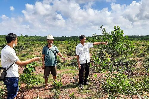 Cần sớm hoàn thành việc giao đất cho người dân xã Vĩnh Sơn