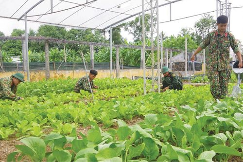Chính trị - Xã hội An ninh - Quốc Phòng Tăng gia sản xuất trong tình hình dịch bệnh