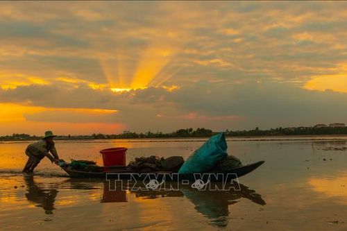 Nét đẹp cuối mùa nước nổi ở Hậu Giang