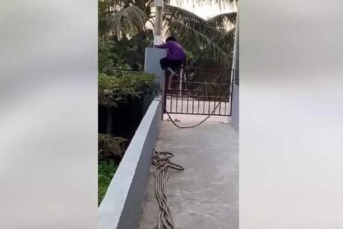 Clip: Cụ bà 100 tuổi thoăn thoắt trèo ra khỏi cổng nhà khiến dân tình cười ngặt nghẽo