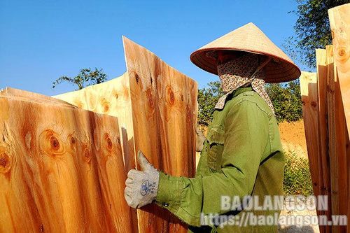 Chế biến gỗ bóc: Hướng phát triển kinh tế hiệu quả ở Minh SơnTin khácChung tay phòng chống HIV/AIDS trong bối cảnh dịch COVID-19THÔNG BÁO NỘI DUNG, CHƯƠNG TRÌNH KỲ HỌP THỨ BẢY (KỲ HỌP THƯỜNG LỆ CUỐI NĂM 2021) HĐND TỈNH KHÓA XVII NHIỆM KỲ 2021 – 2026