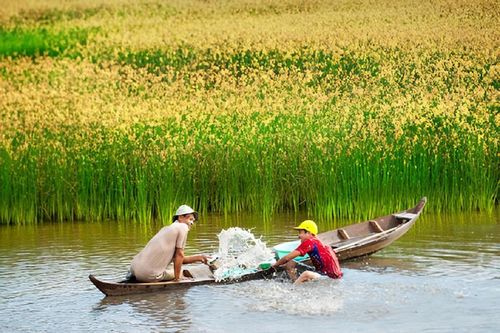 Mênh mông Hậu Giang mùa nước nổi
