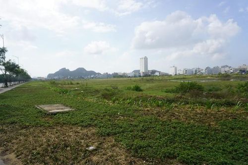 Vụ giám đốc công ty bất động sản tự tử tại tòa: Luật sư nói gì về bản án sơ thẩm?