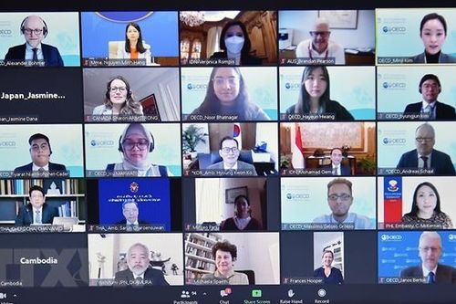 Việt Nam lần đầu được đề cử cương vị Đồng Chủ tịch SEARP của OECD